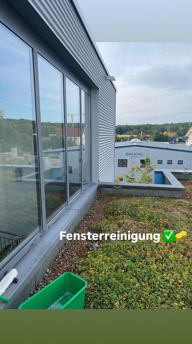 Einblick in ein Reinigungsprojekt von H.A.S Reinigung 15